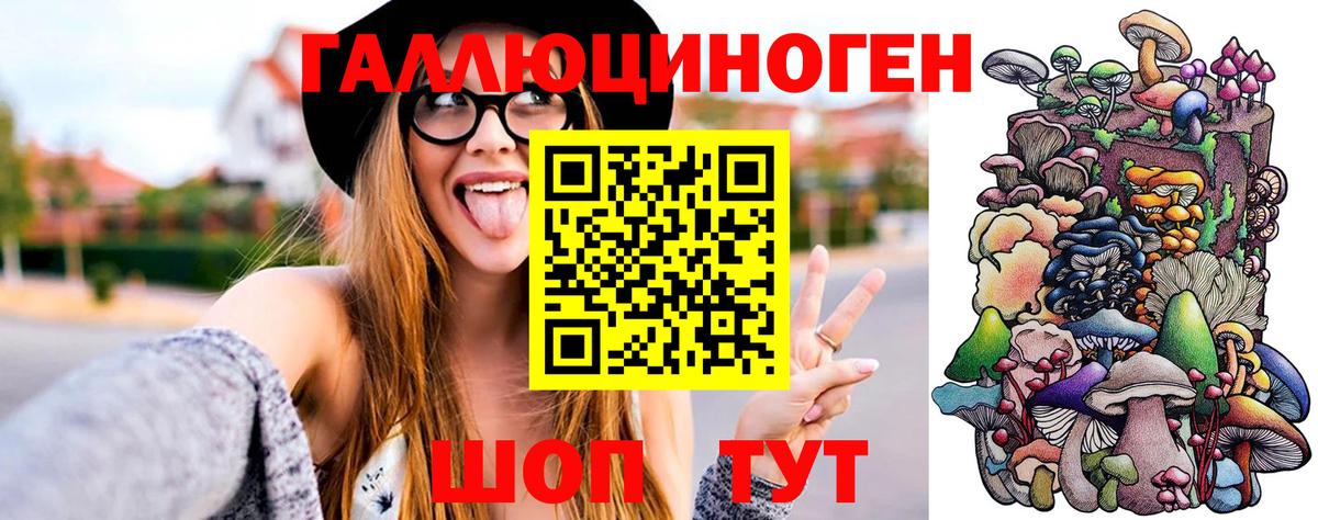 Псилоцибиновые грибы Magic Shrooms  Вход с VPN  Малгобек 
